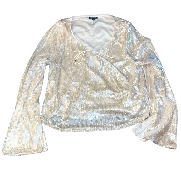 Wild Fable Champagne Sequins Top - Picture 2 of 4